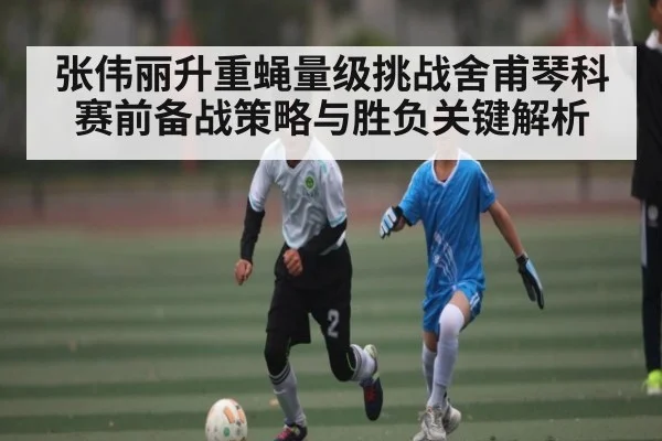 张伟丽升重蝇量级挑战舍甫琴科赛前备战策略与胜负关键解析